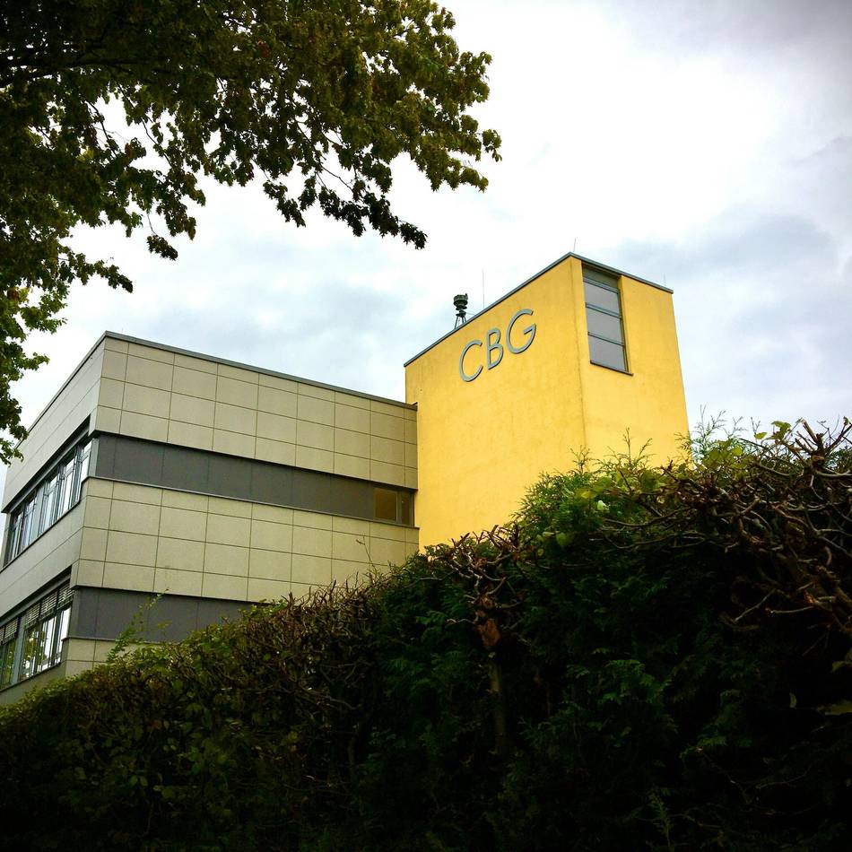 Aus dem Erkelenzer Schulausschuss: Cornelius-Burgh-Gymnasium soll sich in Richtung alter Pestalozzischule erweitern