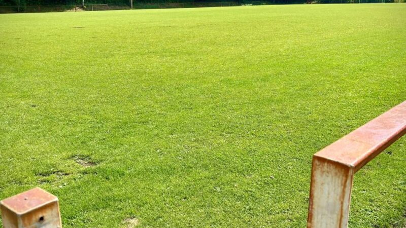 Sportstätten in Düsseldorf: Bezirkssportanlage in Eller erhält ein Kunstrasenspielfeld