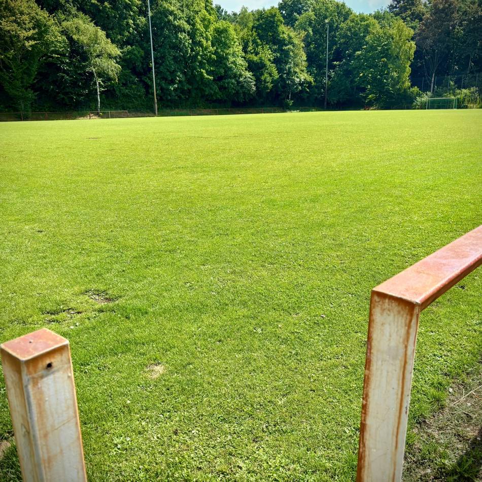 Sportstätten in Düsseldorf: Bezirkssportanlage in Eller erhält ein Kunstrasenspielfeld