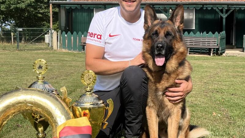 Champion auf vier Pfoten: Asperdener Schäferhund Pacman ist Weltmeister