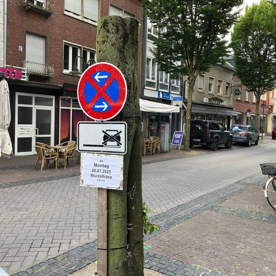 Buche war abgestorben: Kranker Baum an der Hartstraße in Geldern gefällt
