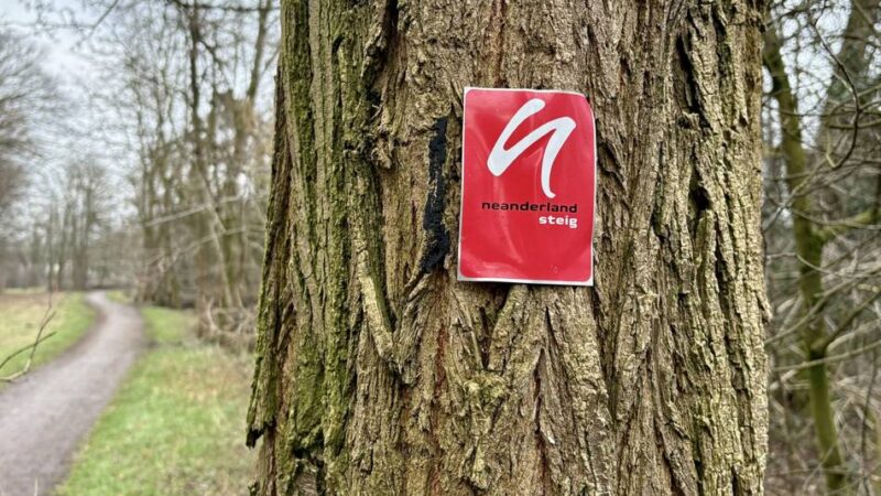 Für Wanderfreunde: Überarbeitete Broschüre führt durch den Neanderland-Steig