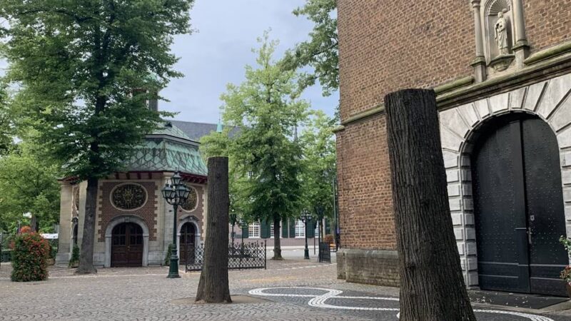 Fällaktion in Kevelaer: Nicht mehr standsicher – Bäume vor der Kerzenkapelle gefällt
