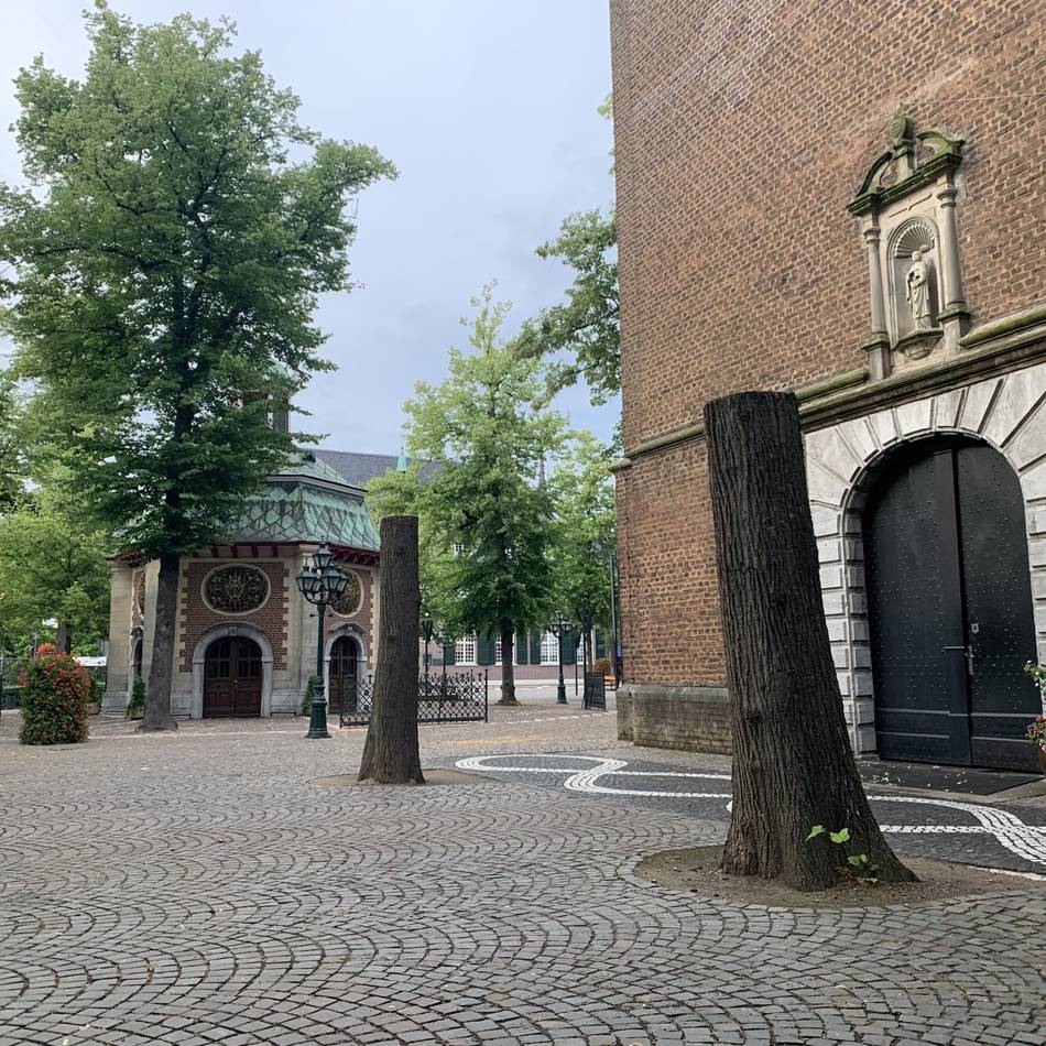 Fällaktion in Kevelaer: Nicht mehr standsicher – Bäume vor der Kerzenkapelle gefällt
