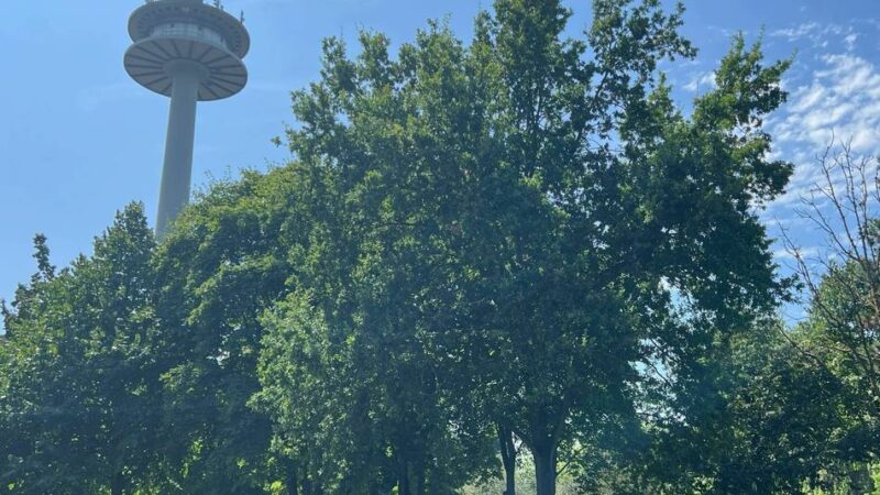 Parks, Trinkbrunnen, Wasserspielplätze: Wo es in Wesel kühle Orte an heißen Tagen gibt