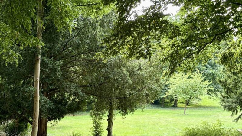 Serie „Unerwartet grüne Oasen“: Verstecktes Grün in Holthausen – warum Sie diesen Schlosspark erkunden sollten