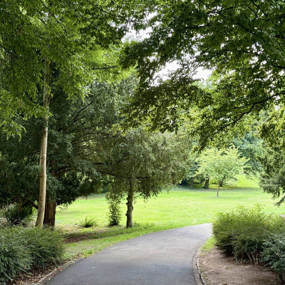 Serie „Unerwartet grüne Oasen“: Verstecktes Grün in Holthausen – warum Sie diesen Schlosspark erkunden sollten