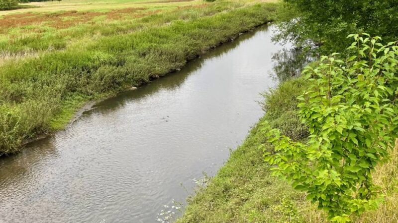 An Uferböschungen in Mönchengladbach: Verband zahlt „Schwanzprämien“ – Ärger um morgendliche Jagd an der Niers