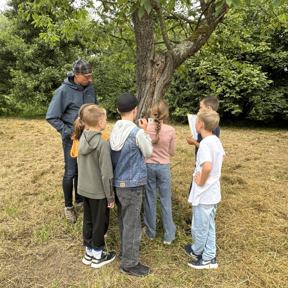 Lernen im Grünen: Gelderner Grundschüler entdecken Artenvielfalt der Streuobstwiese