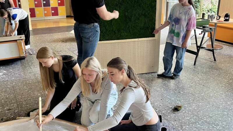 Bessere Atmosphäre: Gocher Realschüler sorgen für einen grüneren Lernort