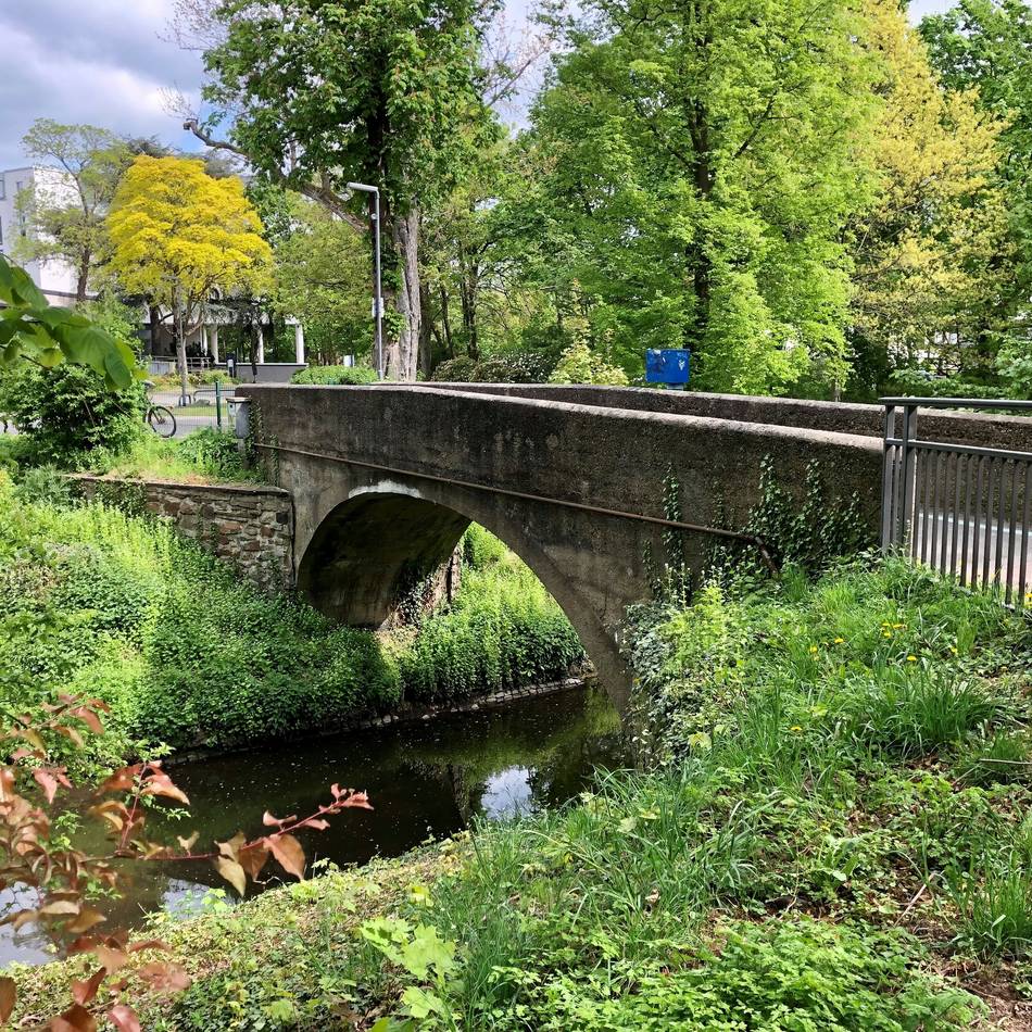 Jüngstes Denkmal der Stadt Neuss: Ein Sanierungsplan für die Elefantenbrücke