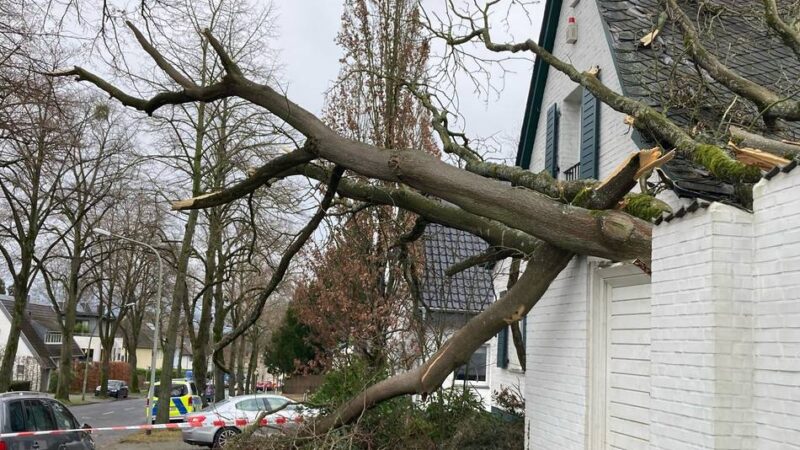 Schäden über 20 Jahre in Mönchengladbach: Extremwetter kostet im Schnitt 3000 Euro pro Gebäude