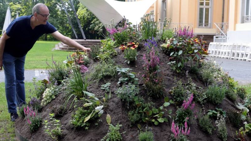 Schaugarten-Projekt in Leverkusen: Eine Halbkugel zum Staunen und Nachdenken