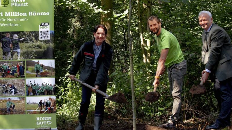 Eine Million Bäume sind das Ziel: Landesweite Aktion „NRW pflanzt“ zur Aufforstung von Bäumen startet in Alpen