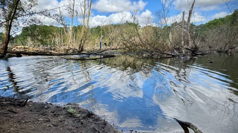 Dreharbeiten für Psycho-Thriller in Neuss: Moorleiche im Groov’schen Loch entdeckt