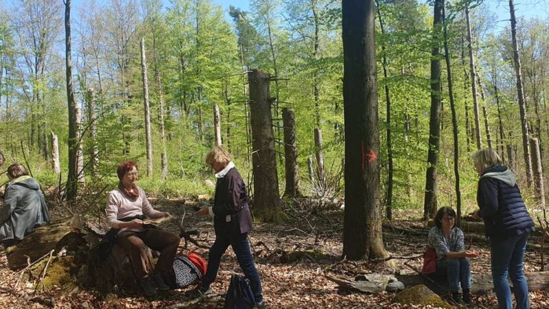 Psychologische Beratungsstelle Herbstmühle in Wipperfürth: Waldbaden als Dankeschön für die Paten