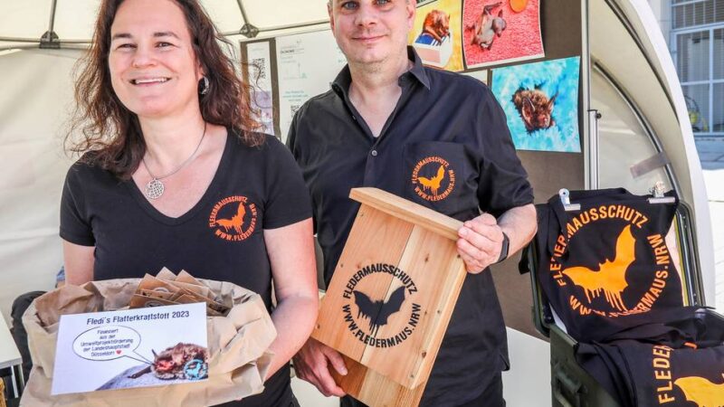 Rundgänge in Düsseldorf: „Unterwegs im Grünen“ – Im August bietet die Stadt wieder Führungen an