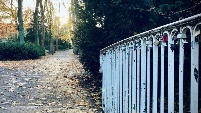 Jetzt auf der Anklagebank: 22-Jähriger soll im Neusser Stadtgarten zugestochen haben