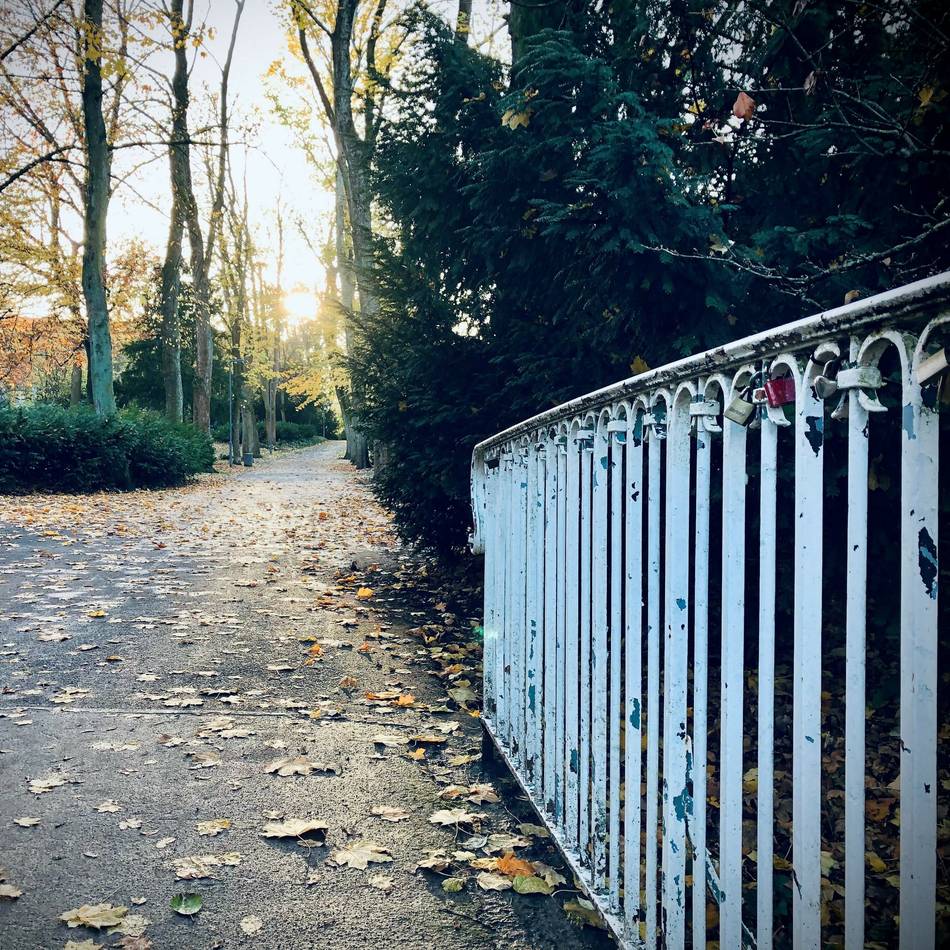 Jetzt auf der Anklagebank: 22-Jähriger soll im Neusser Stadtgarten zugestochen haben