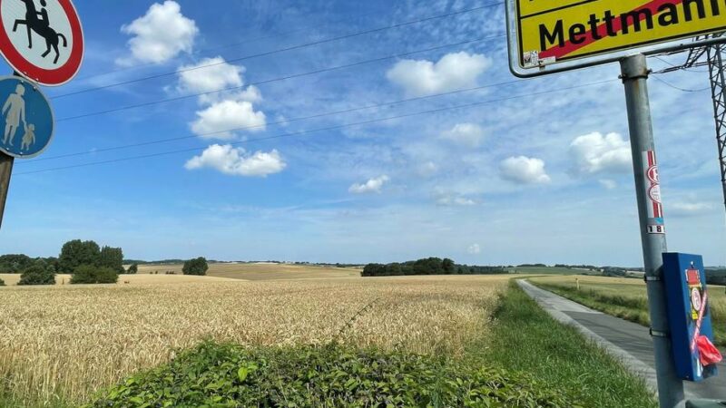Politik in Mettmann: Grüne planen Spaziergänge
