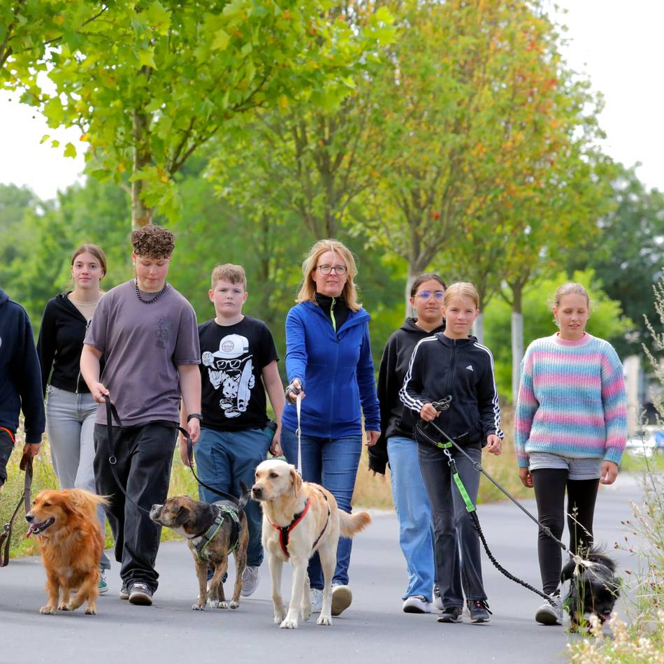Rheinberger Gymnasiasten im Kamp-Lintforter Tierheim: Tierischer Projekttag mit einer Geldspende von Schülerinnen