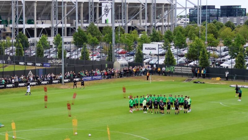 Neues Video-Format: Schicken Sie uns Ihre Fragen rund um Borussia – unsere Reporter antworten