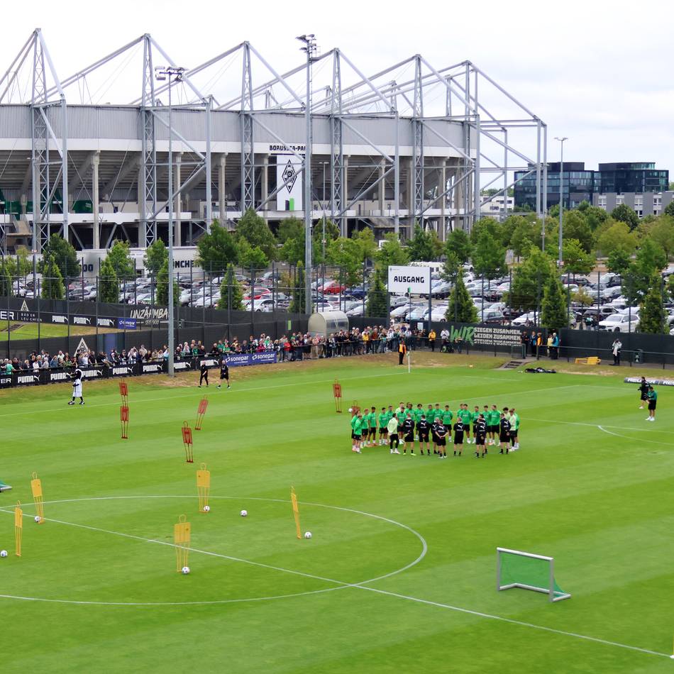Neues Video-Format: Schicken Sie uns Ihre Fragen rund um Borussia – unsere Reporter antworten