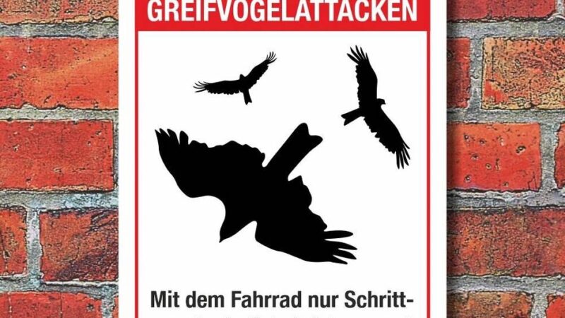 Greifvogel-Angriffe in Hückeswagen: Schilder warnen in Mickenhagen vor Mäusebussard-Attacken