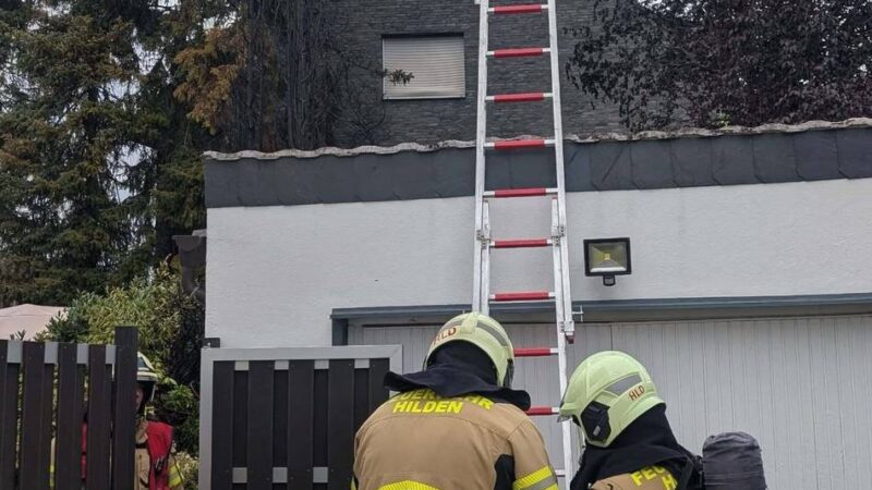 Feuerwehr Hilden mit acht Fahrzeugen im Einsatz: Grillunfall setzt Bäume in Hilden in Brand