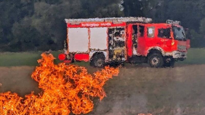 Feuerwehr Hilden trainiert Vegetationsbrand auf echtem Feld: Wenn der Wald brennt, ist die Feuerwehr besonders gefordert