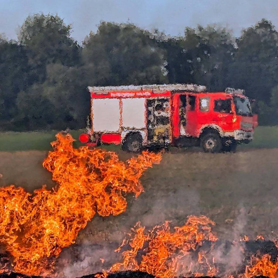 Feuerwehr Hilden trainiert Vegetationsbrand auf echtem Feld: Wenn der Wald brennt, ist die Feuerwehr besonders gefordert