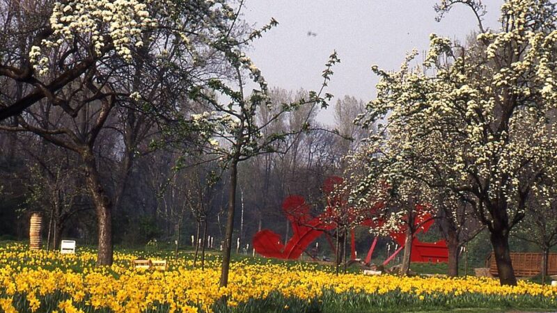 Veranstaltungen in Grevenbroich: Buntes Programm erinnert an Landesgartenschau