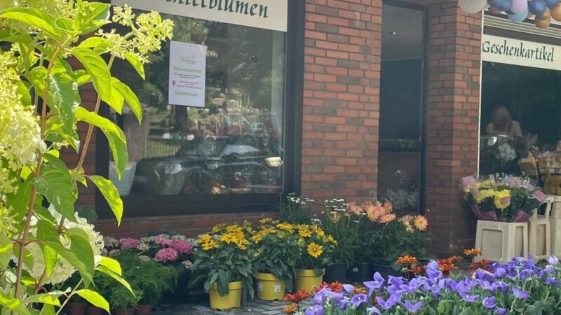 Neues Geschäft in Kleve: Clever Pflanzencenter hat eine neue Filiale eröffnet