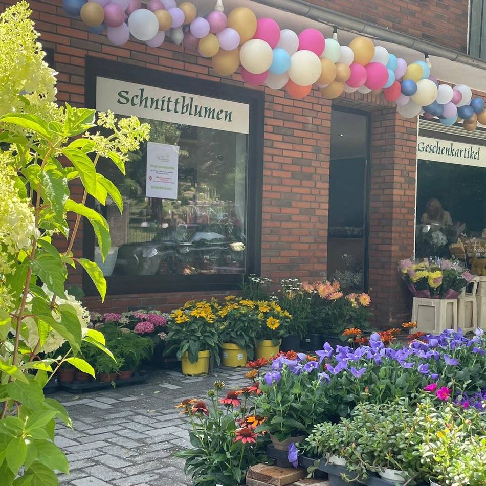 Neues Geschäft in Kleve: Clever Pflanzencenter hat eine neue Filiale eröffnet