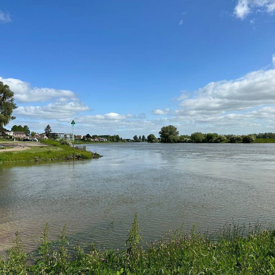 Pilotprojekt zur Energiewende: Wärme aus dem Rhein – Niederländer setzen auf Flussenergie