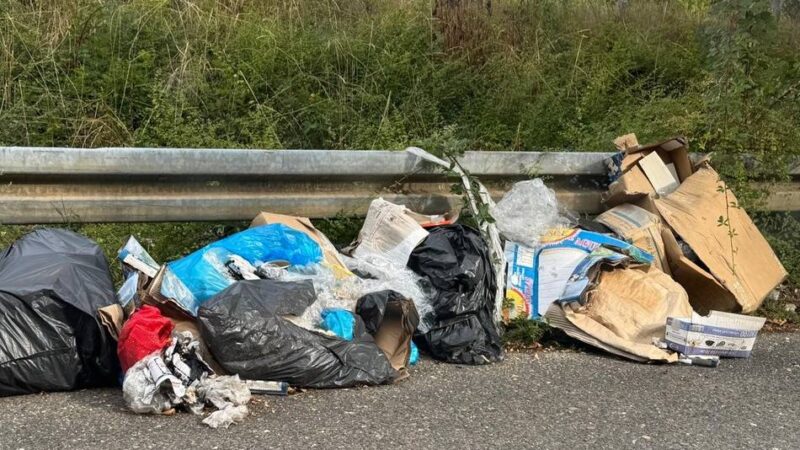 In Langenfeld: „Wilde Müllkippe“ entfernt – Stadt wird Anzeige erstatten