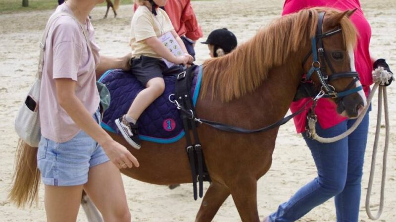 Ferienprogramm in Sonsbeck: Ferienkinder erobern Reitanlage