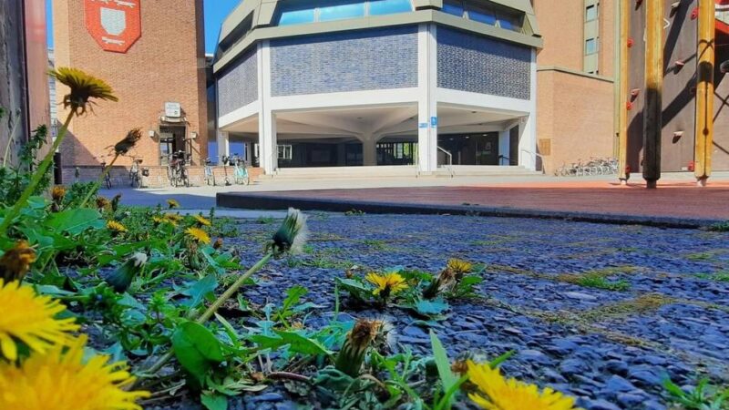 Kommunalwahl 2025: Acht Parteien wollen in Wesel antreten – eine zum ersten Mal