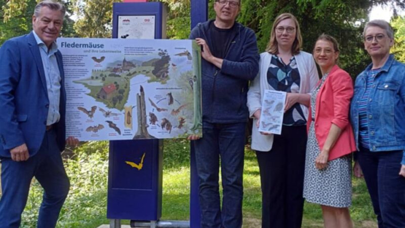 Natur und Umweltschutz in Brüggen: Fledermausdetektor am Burggraben