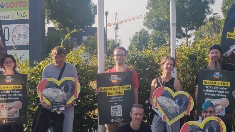 Verbraucher in Meerbusch: Tierschützer protestieren gegen Hühnerfleisch von Edeka