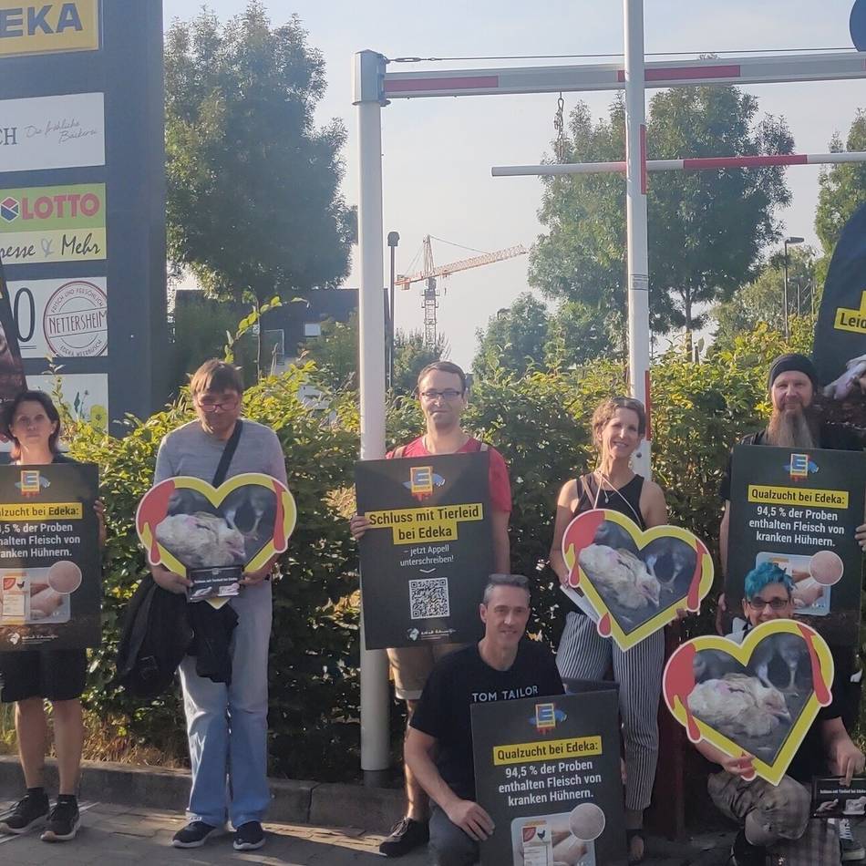 Verbraucher in Meerbusch: Tierschützer protestieren gegen Hühnerfleisch von Edeka