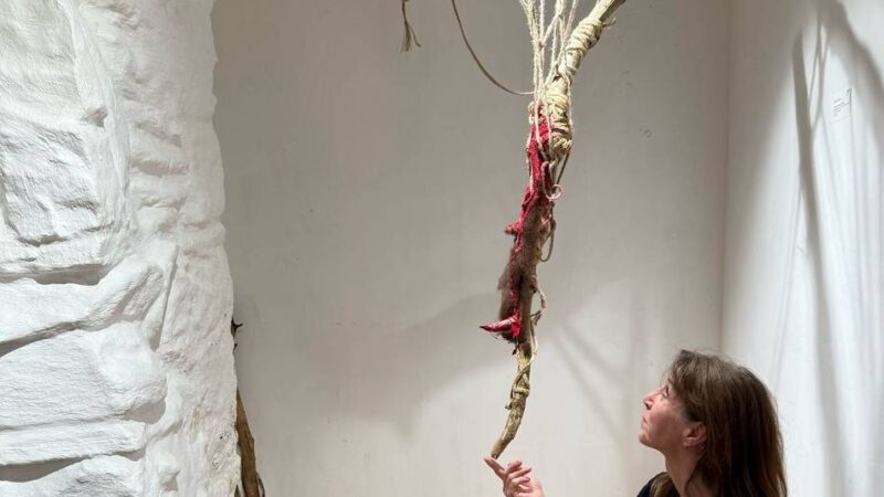 MEopenART: Ausgezeichnete rosarote Kunst