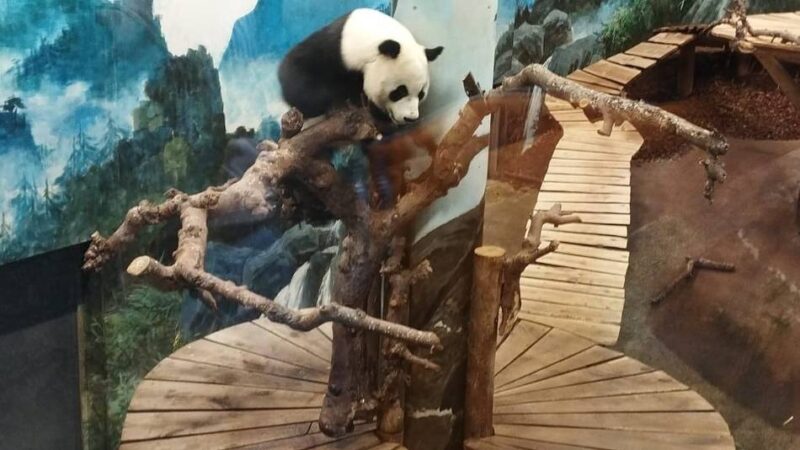 Ausflugstipps für den Kreis Viersen: Zoos in 90 Minuten Entfernung
