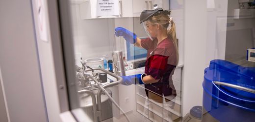 Unerfüllter Kinderwunsch: Für wen Social Freezing eine Lösung sein kann