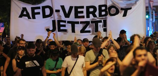 AfD: Staatsrechtler sieht gute Grundlage für Verbotsverfahren