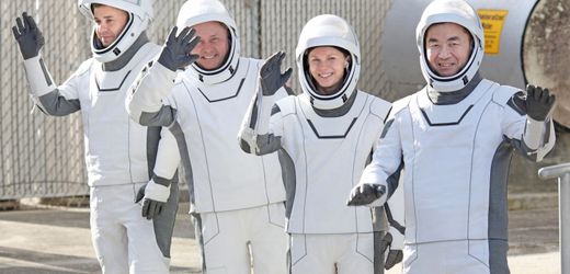 ISS: Astronauten mit Granatapfelkernen im Gepäck ins All gestartet