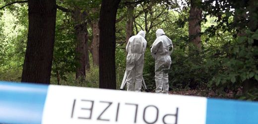 Verdacht auf Tötungsdelikt: Passanten entdecken Leiche am Silbersee