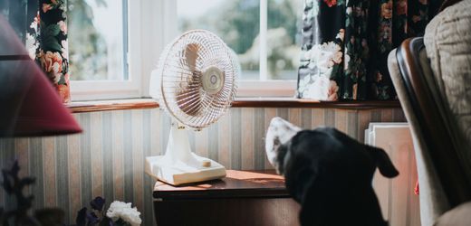Hitze in der Wohnung: Wann Sie eine Mietminderung erreichen können
