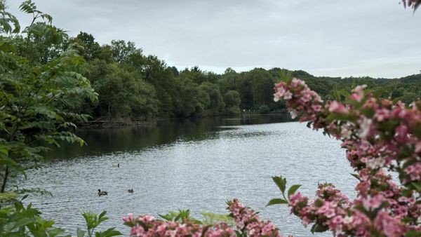 Weg um Abtskücher Teich in Heiligenhaus wird jetzt gesperrt