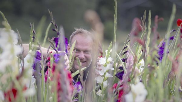 Sommerblumen selbst pflücken: Hier ist es in Velbert möglich